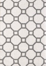 Dynamic Rugs SILKY SHAG 5903-119 White and Silver